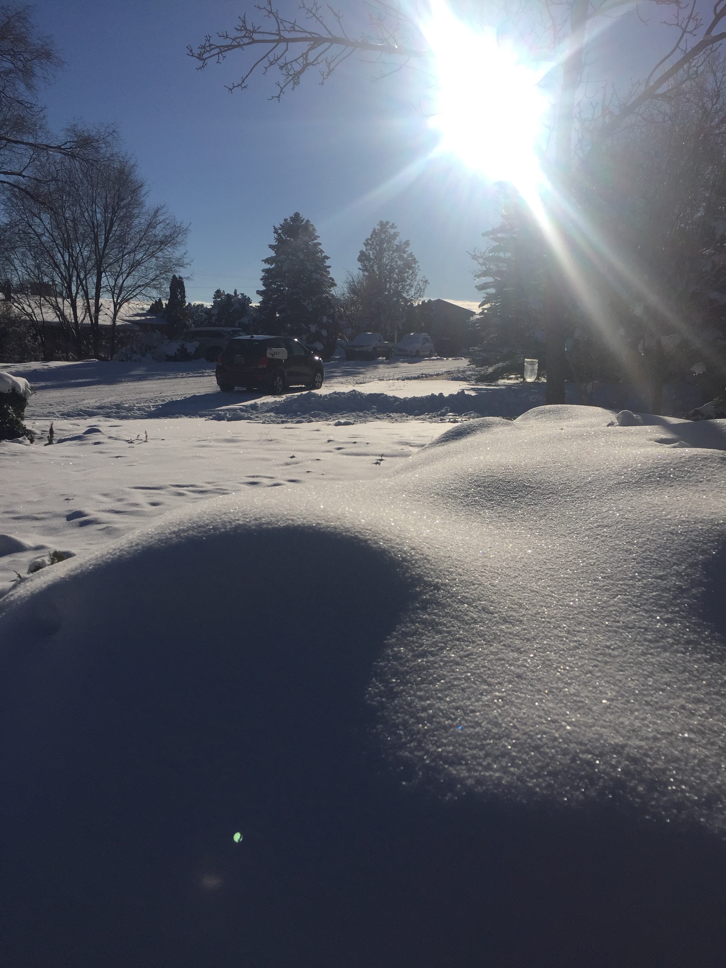 The Ridiculousness of Winter